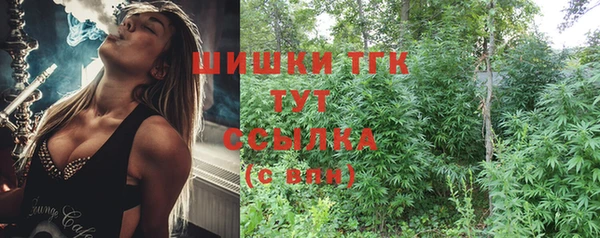 твердый Коряжма