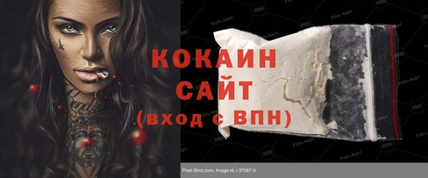 твердый Коряжма