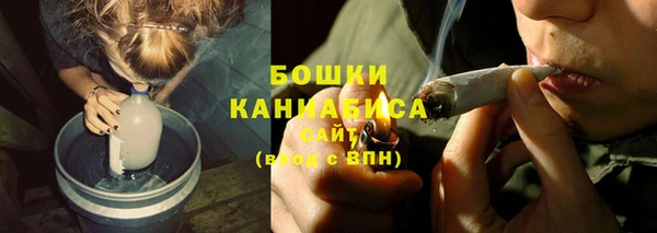 твердый Коряжма