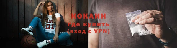 твердый Коряжма