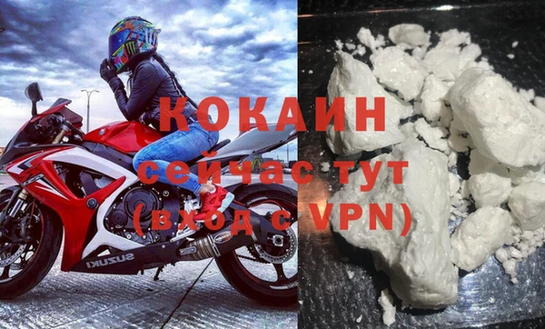 твердый Коряжма