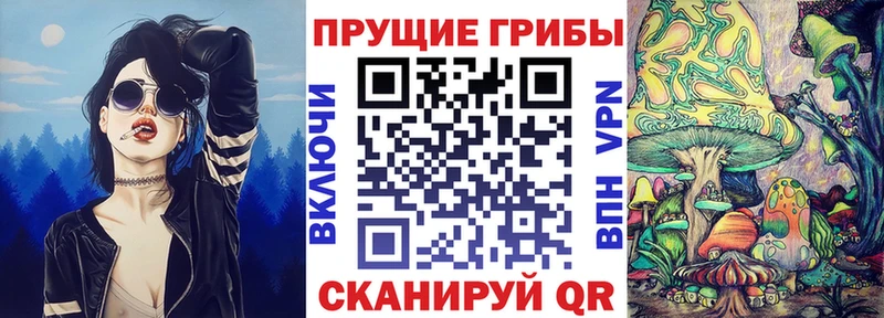 Купить где  Камень-на-Оби  Галлюциногенные грибы мицелий 